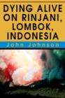 Dying Alive on Rinjani, Lombok, Indonesia - Book