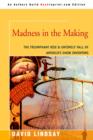 Madness in the Making : The Triumphant Rise & Untimely Fall of America's Show Inventors - Book