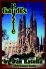 Gaudi's Puzzle - Book
