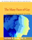 The Many Faces of Gay : Activists Who Are Changing the Nation - Book