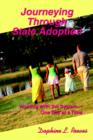 Journeying Through State Adoption : Working with the System--One Day at a Time - Book