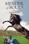 Mender of Souls - Book