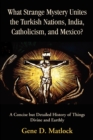 What Strange Mystery Unites the Turkish Nations, India, Catholicism, and Mexico? : A Concise But Detailed History of Things Divine and Earthly - Book
