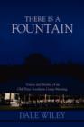 There Is a Fountain : Voices and Stories of an Old-Time Southern Camp Meeting - Book