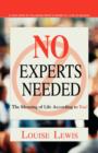 No Experts Needed : The Meaning of Life According to You! - Book