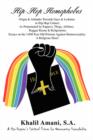 Hip-Hop Homophobes : Origin & Attitudes Towardsgays & Lesbians in Hip Hop Culture; As Perpetuated by Rappers, Thugs, Athletes, Reggae Rasta - Book