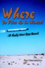 Where Do Flies Go in Winter? : A Gulf War Spy Novel - Book