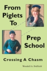 From Piglets to Prep School : Crossing a Chasm - eBook