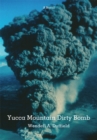 Yucca Mountain Dirty Bomb - eBook