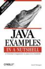 Java Examples in a Nutshell - Book