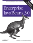 Enterprise JavaBeans 3.0 - eBook