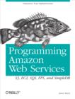 Programming Amazon Web Services : S3, EC2, SQS, FPS, and SimpleDB - eBook