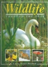 Wildlife Throughout the Year - Book