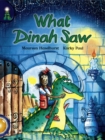Lighthouse Year 2 Gold: What Dinah Saw? - Book
