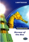 Lighthouse White Level: Horses of the Sea Teaching Notes - Book