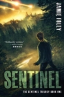 Sentinel - Book