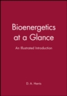 Bioenergetics at a Glance : An Illustrated Introduction - Book