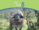 Buffalo : The Big 5 and Other Wild Animals - Book