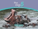 Hippo : The Big 5 and Other Wild Animals - Book