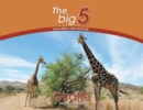 Giraffe : The Big 5 and Other Wild Animals - Book