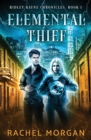 Elemental Thief - Book