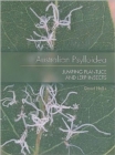 Australian Psylloidea : Jumping Plantlice and Lerp Insects - Book
