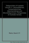 The Tettigonidae of Australia : Volume 3:  Listroscelidinae, Tympanophorinae, Meconematinae and Micro - Book