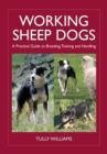 Working Sheep Dogs : A Practical Guide to Breeding, Training and Handling - eBook