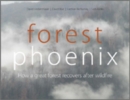 Forest Phoenix : How a Great Forest Recovers After Wildfire - eBook