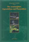 Tettigoniidae of Australia Volume 2 : Austrosaginae, Zaprochilinae and Phasmodinae - eBook
