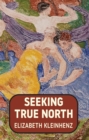 Seeking True North - eBook