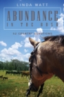 Abundance in the Bush : 52 Country Devotions - Book
