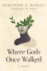 Where Gods Once Walked - Book