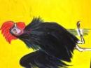 Ralph The Rooster Lost in New Farm Park - eBook