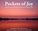 Pockets of Joy : When it's hard to find happiness, look for the tiny pockets of joy - Book