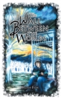 The Wall Between the Worlds - Book