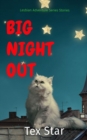 BIG NIGHT OUT : Lesbian Adventure Series Stories - eBook