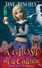 A Ghost Of A Chance : A Paranormal Ghost Detective Cozy Mystery #4 - Book