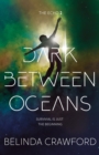 Dark Between Oceans - Book