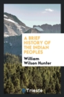 A Brief History of the Indian Peoples - Book