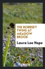 The Bobbsey Twins at Meadow Brook - Book
