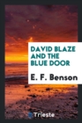 David Blaze and the Blue Door - Book