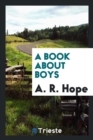 A Book about Boys - Book