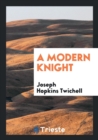 A Modern Knight - Book