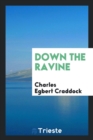 Down the Ravine - Book
