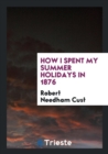 How I Spent My Summer Holidays in 1876 - Book