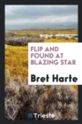 Flip and Found at Blazing Star - Book