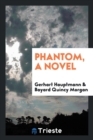 Phantom, a Novel - Book