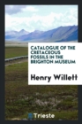 Catalogue of the Cretaceous Fossils in the Brighton Museum - Book