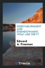 Disestablishment and Disendowment, What Are They? - Book